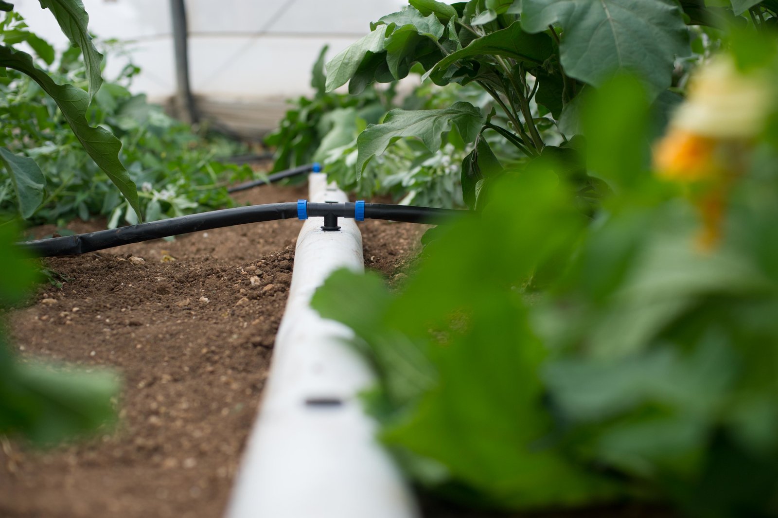 Transforming Agriculture: HDPE Water Irrigation Pipeline System